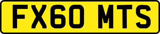 FX60MTS