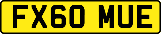 FX60MUE