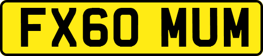 FX60MUM