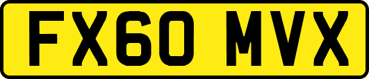 FX60MVX