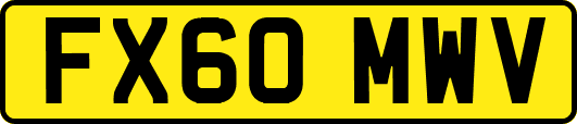 FX60MWV