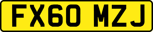 FX60MZJ
