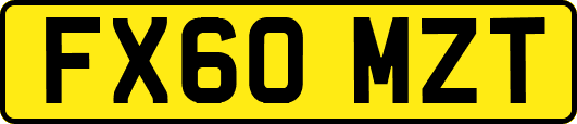 FX60MZT