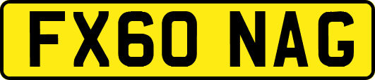 FX60NAG