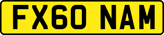 FX60NAM