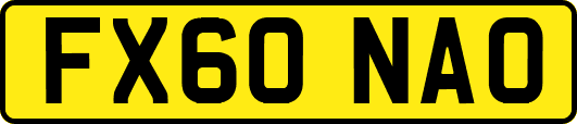 FX60NAO
