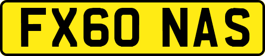 FX60NAS
