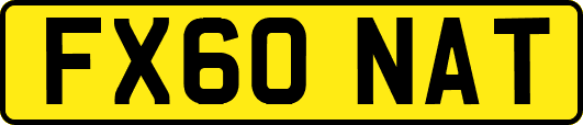 FX60NAT