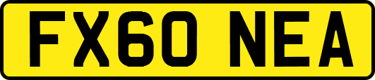FX60NEA