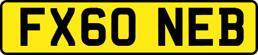 FX60NEB