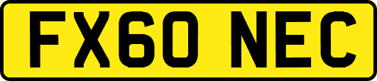FX60NEC