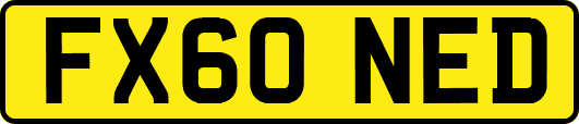 FX60NED