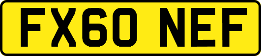 FX60NEF