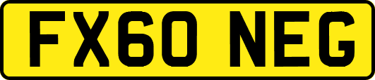 FX60NEG