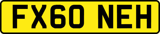 FX60NEH