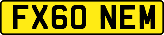 FX60NEM
