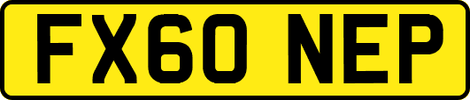 FX60NEP