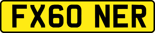 FX60NER