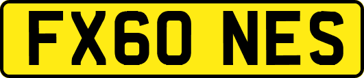 FX60NES