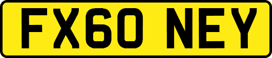 FX60NEY