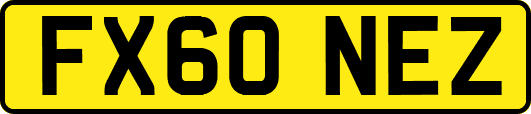 FX60NEZ