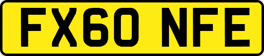 FX60NFE
