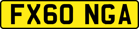 FX60NGA
