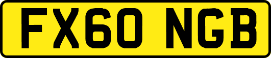 FX60NGB
