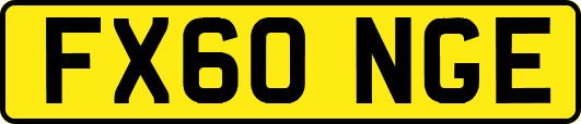 FX60NGE
