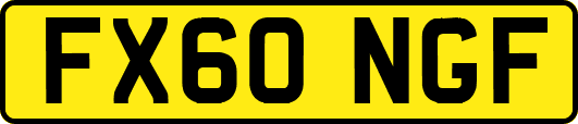 FX60NGF