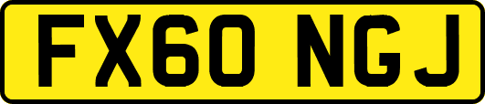 FX60NGJ