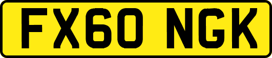 FX60NGK