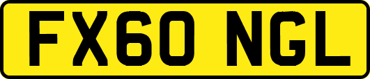 FX60NGL