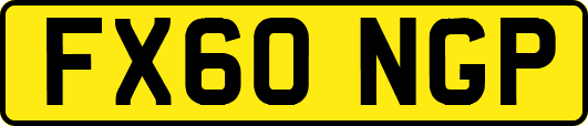 FX60NGP