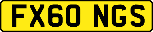FX60NGS