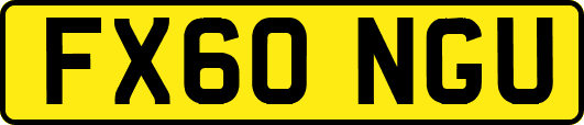 FX60NGU