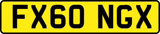 FX60NGX