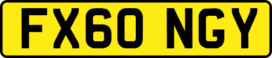 FX60NGY