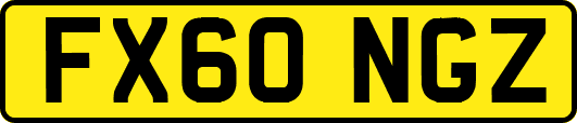 FX60NGZ