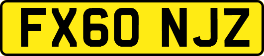 FX60NJZ