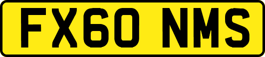 FX60NMS