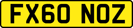 FX60NOZ