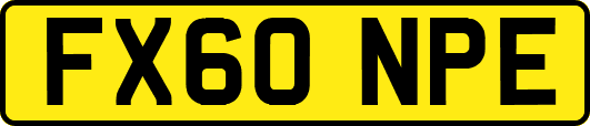 FX60NPE
