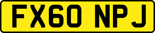 FX60NPJ