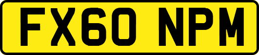 FX60NPM