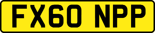 FX60NPP