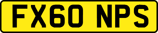 FX60NPS