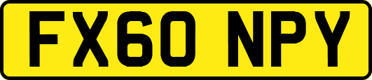 FX60NPY