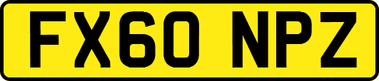 FX60NPZ