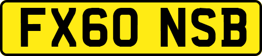 FX60NSB